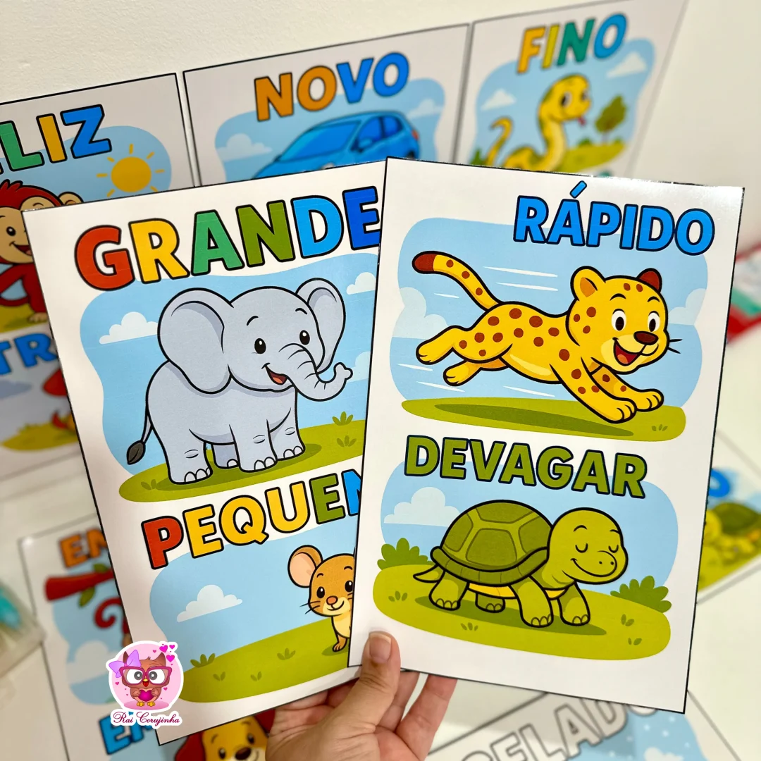 FICHAS DE CONCEITOS