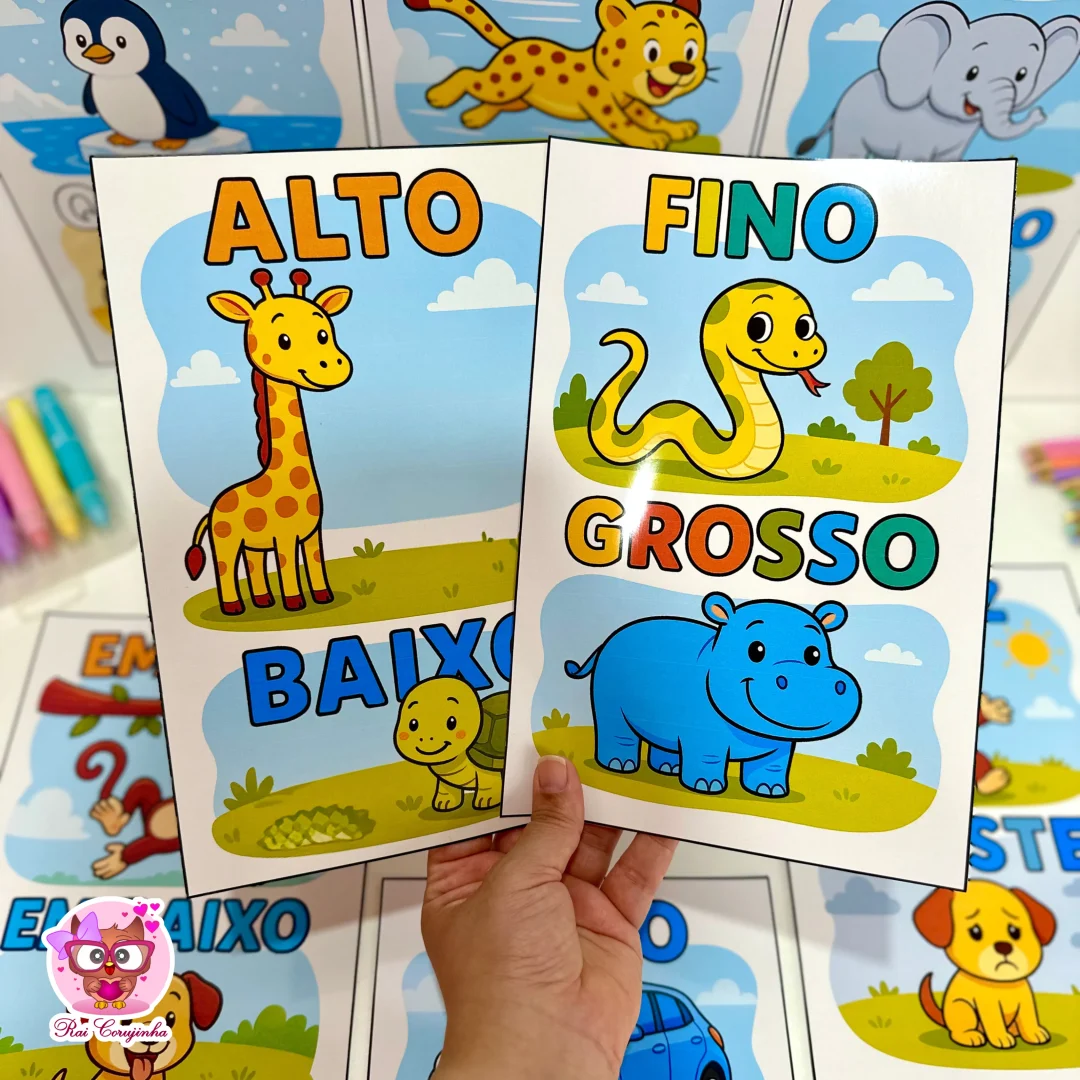 FICHAS DE CONCEITOS