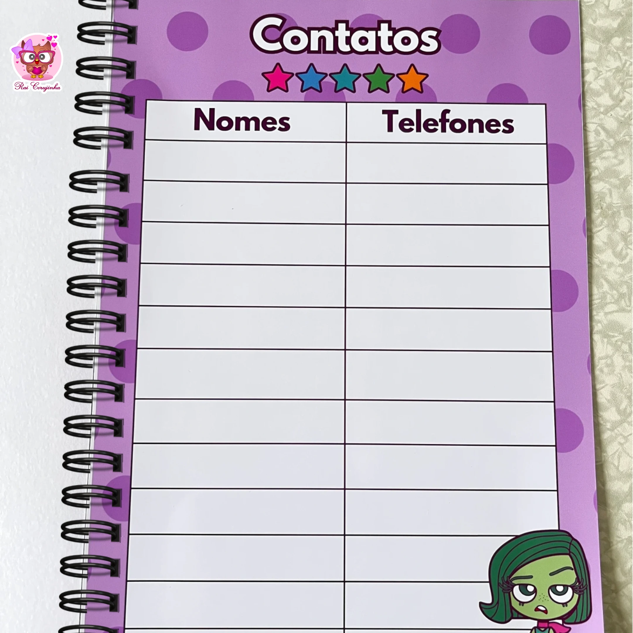 PLANNER DIVERTIDAMENTE 3 PLANNER DIVERTIDAMENTE