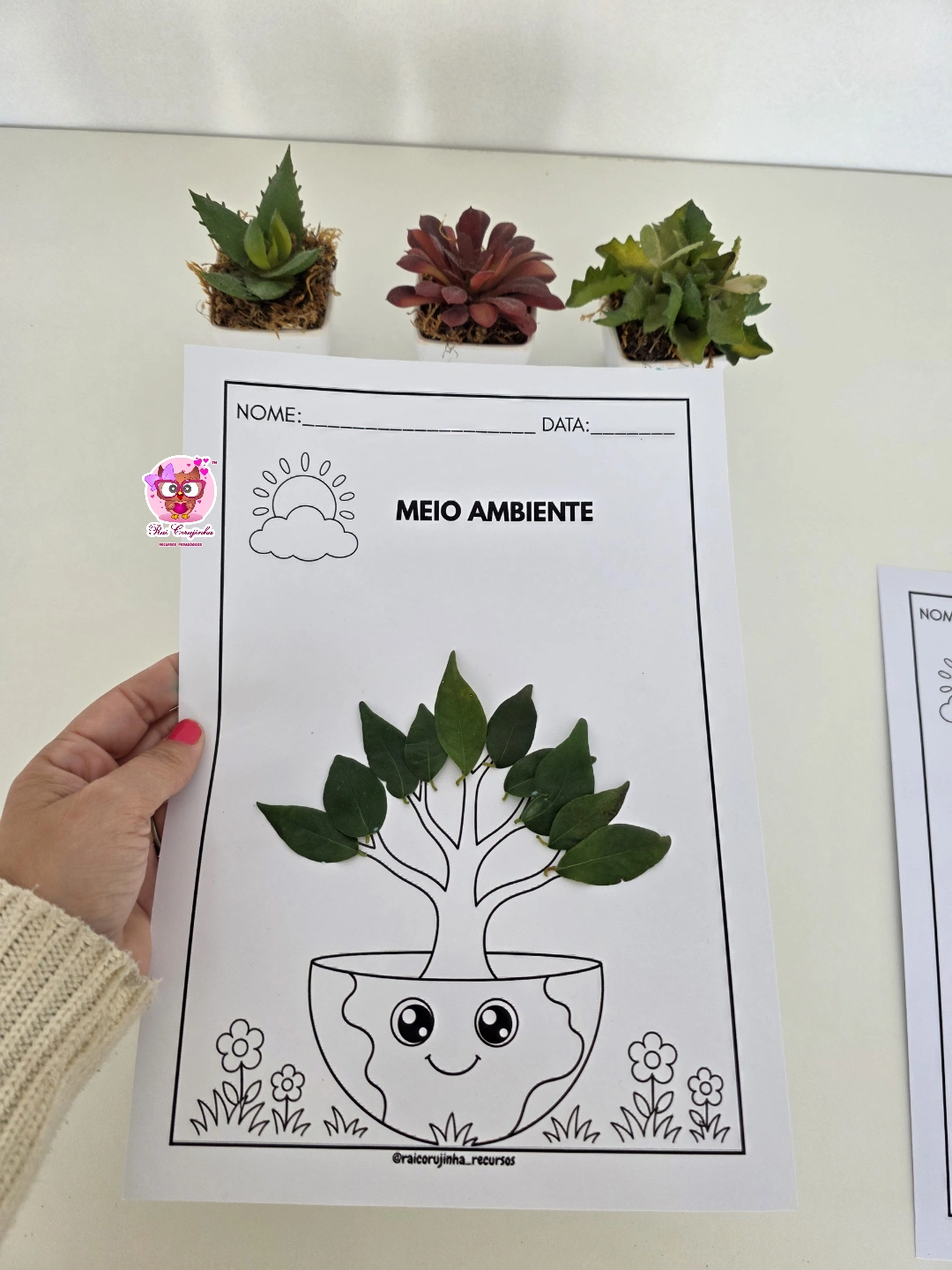 VARAL MEIO AMBIENTE 4 VARAL MEIO AMBIENTE
