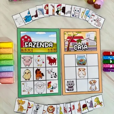 CASINHA DOS ANIMAIS